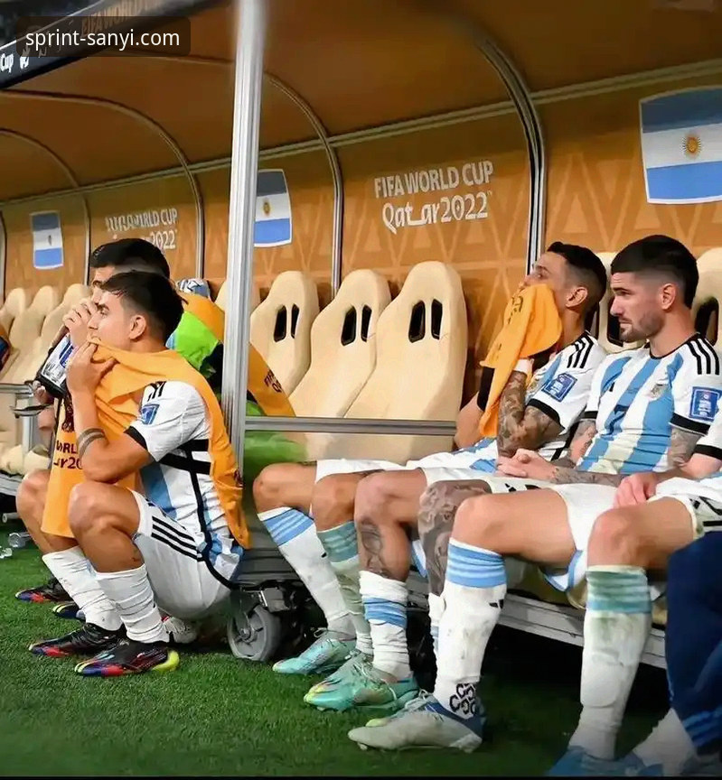 资深用户分享：如何通过三亿体育深度体验阿根廷大胜的战术细节